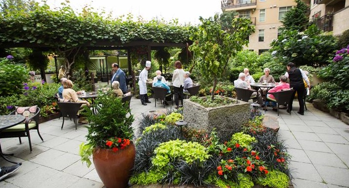 Seniors enjoying a garden party in the Aljoya Mercer Island Courtyard