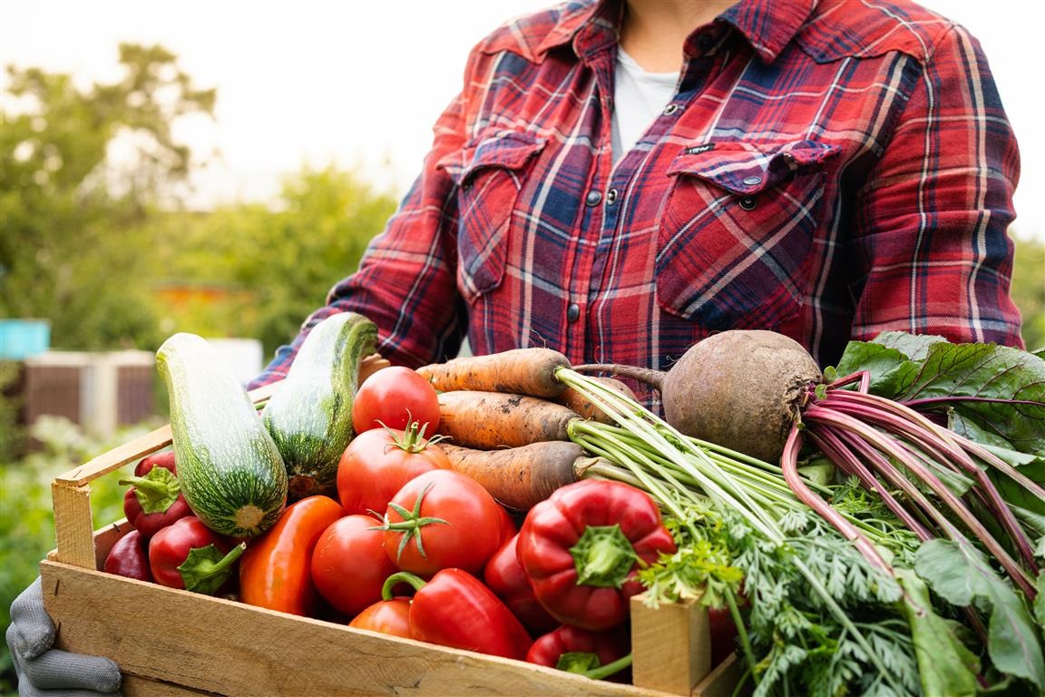 Basket of fresh farmers market produce