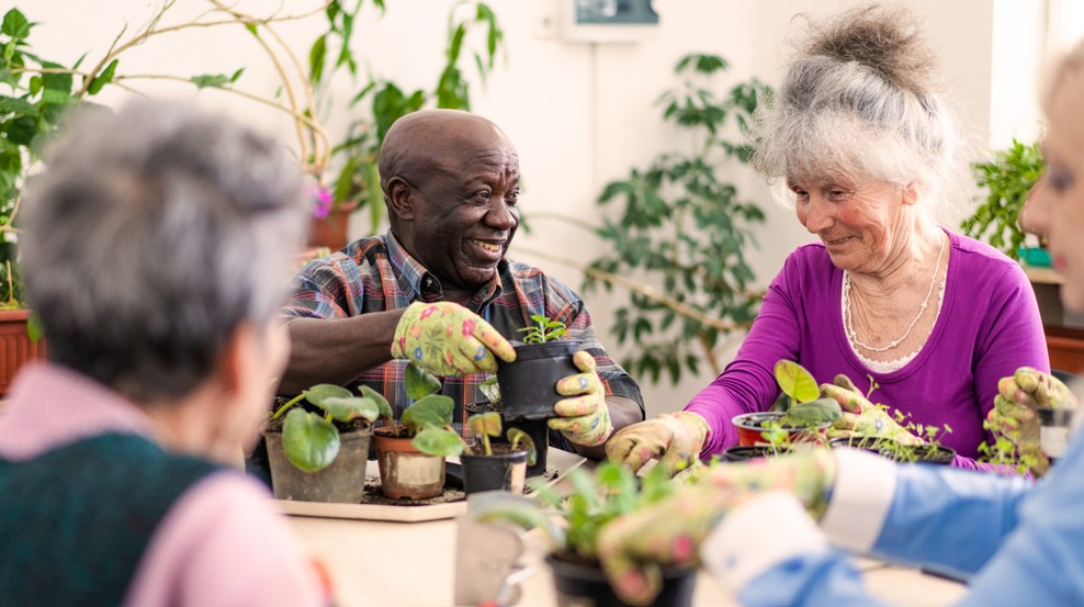Group of smiling older people gardening in small pots.