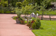 Walking path, bench and lush plants in a courtyard