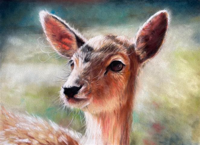 Fawn - soft pastel on velour paper