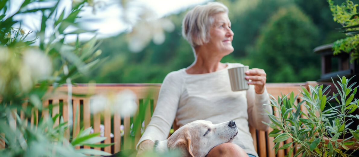 A senior woman with a dog and coffee sitting outdoors on a terrace on sunny day in summer.